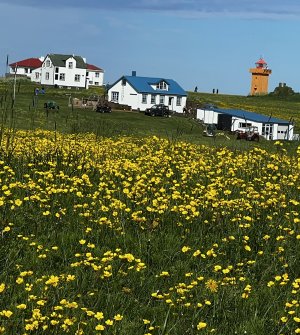 Houses on Flate300y