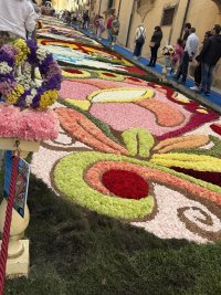 Img_9167200