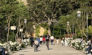 Public gardens300
