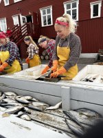 Siglufjordur Herring Girl150