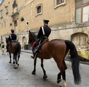 horses300