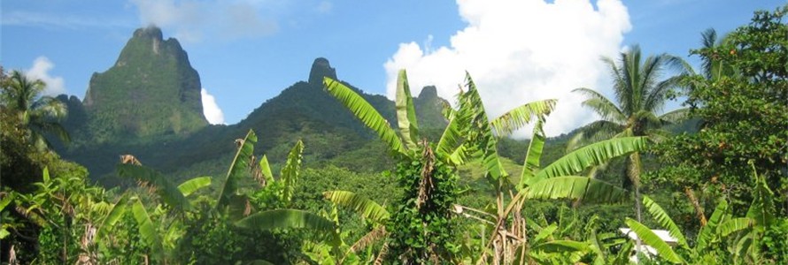 The volcano of Moorea.  Some say it is Bali Hai!