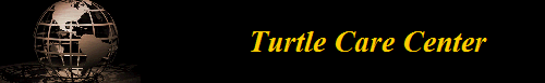 Turtle Care Center       